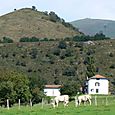 collines près de Bidarray