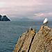 Skelligsrocks2