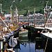 076_mallaig