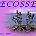 000_ecosse