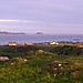 224_iona