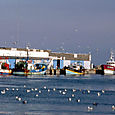 Lesconil