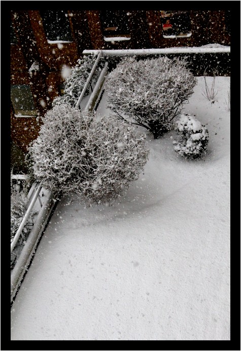 IMG_3622 IMG_3622