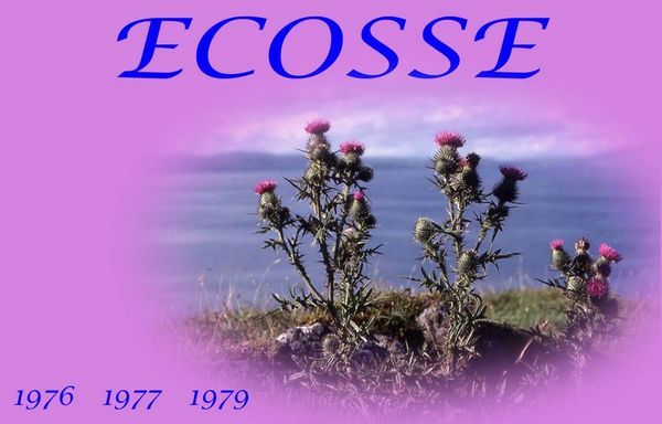 000 Ecosse