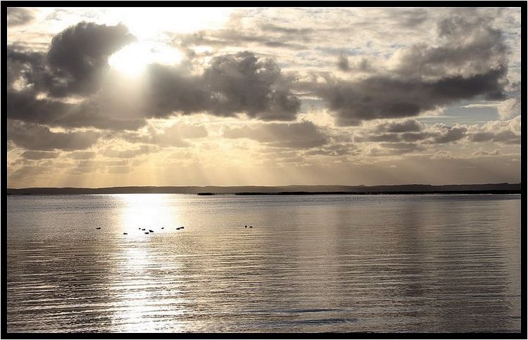 IMG_1211 IMG_1211