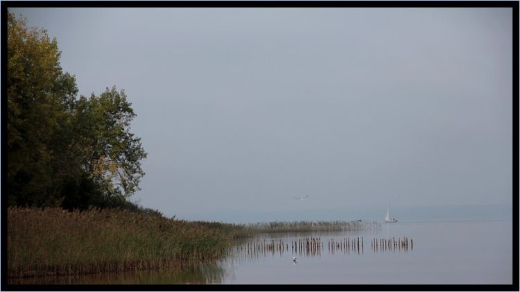 Lac Lac