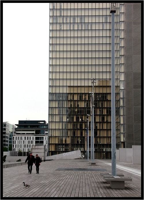 IMG_5462 IMG_5462