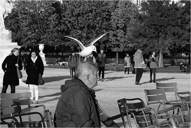 IMG_2512 IMG_2512