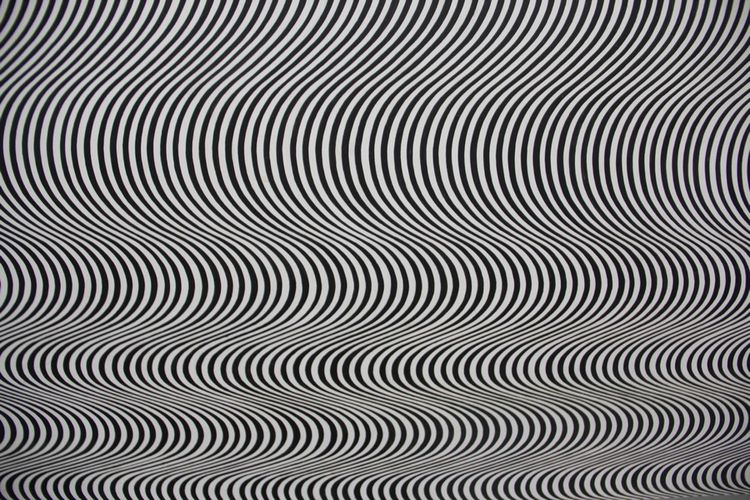 Bridget Riley6244