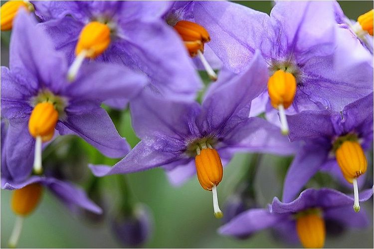 IMG_6465 IMG_6465
