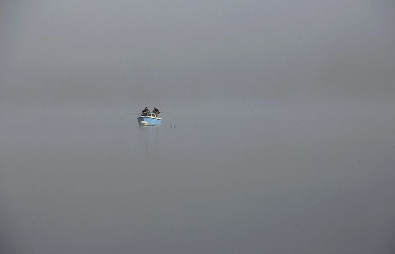 IMG_8798