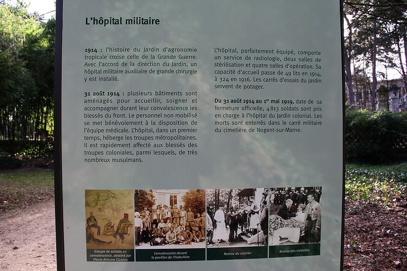 IMG_0495 IMG_0495