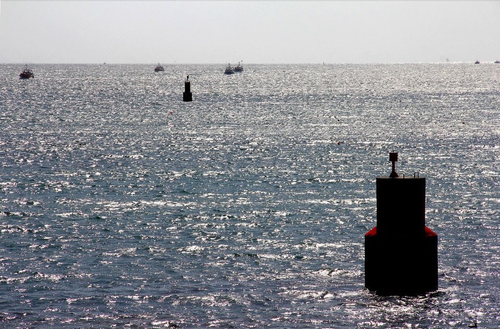 IMG_3871 IMG_3871
