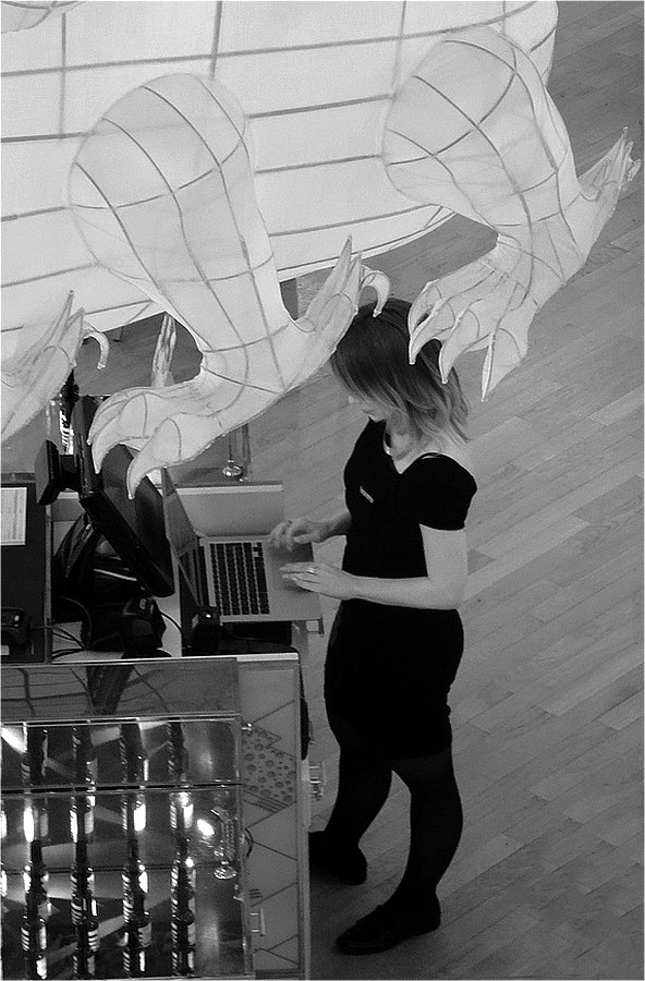 DSC01925 DSC01925