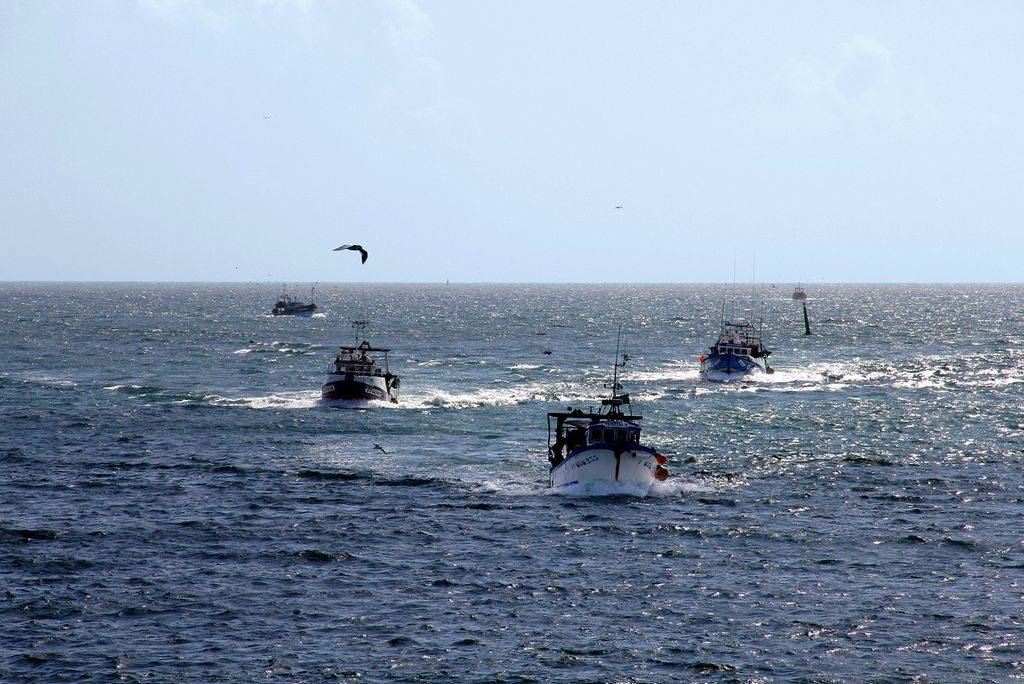 IMG_3886 IMG_3886