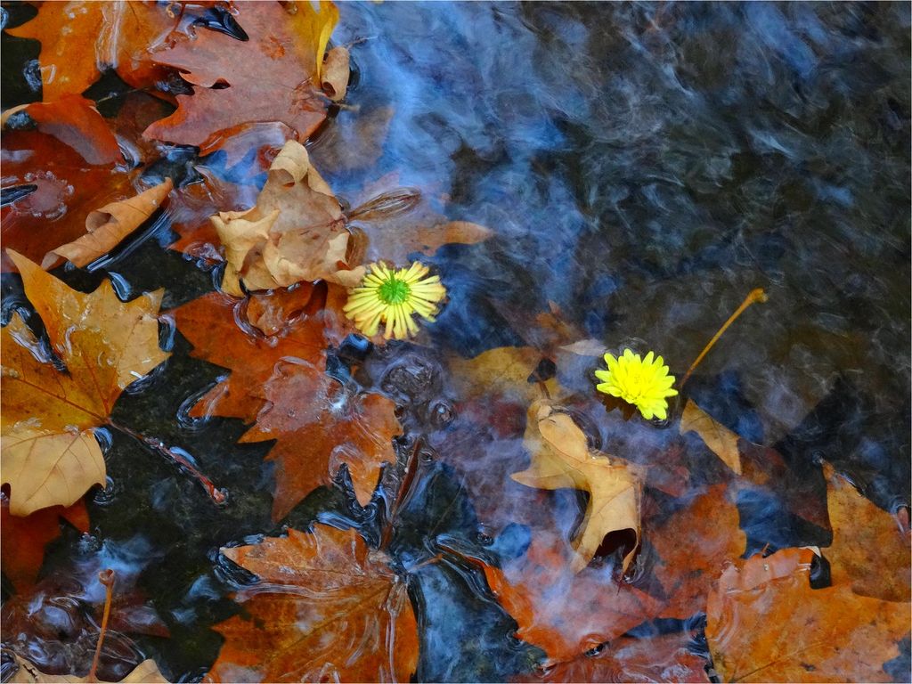 DSC01620