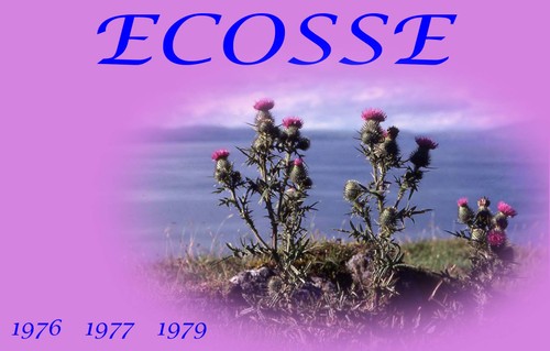 000_ecosse